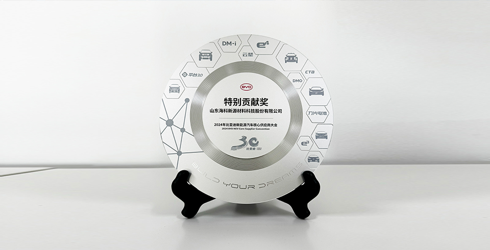 MK国际-MK中国一站式体育服务连续四年再度荣获比亚迪2024年“特别贡献奖”